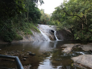 Dhoni waterfalls