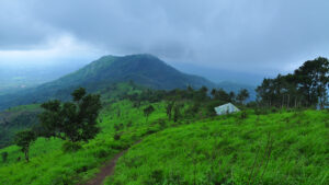 Kodikuthimala