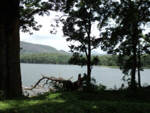 Parambikulam Dam