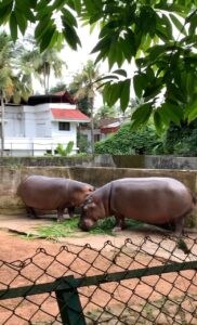 kerala state museum