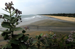Payyambalam Beach